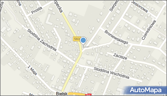 Kapliczka, Figura Świętych, Krzyż, Sierpecka560 21, Bielsk 09-230 - Kapliczka, Figura Świętych, Krzyż