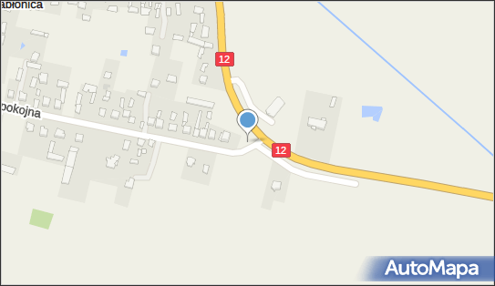 Kapliczka, Figura Świętych, Krzyż, Spokojna 43, Jabłonica 26-432 - Kapliczka, Figura Świętych, Krzyż