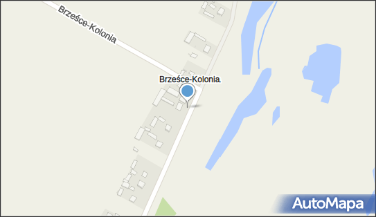 Kapliczka, Figura Świętych, Krzyż, Brześce-Kolonia 12 24-123 - Kapliczka, Figura Świętych, Krzyż