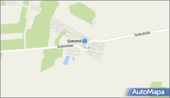 Kapliczka, Figura Świętych, Krzyż, Sokolniki 20, Sokolniki 08-430 - Kapliczka, Figura Świętych, Krzyż