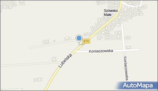 Kapliczka, Figura Świętych, Krzyż, Lubelska870, Szówsko 37-522 - Kapliczka, Figura Świętych, Krzyż