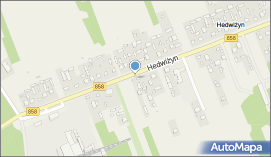 Kapliczka, Figura Świętych, Krzyż, Hedwiżyn 96, Hedwiżyn 23-400 - Kapliczka, Figura Świętych, Krzyż