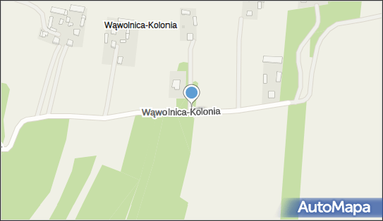 Kapliczka, Figura Świętych, Krzyż, Wąwolnica-Kolonia, Wąwolnica 24-160 - Kapliczka, Figura Świętych, Krzyż