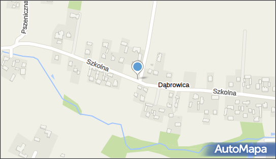 Kapliczka, Figura Świętych, Krzyż, Dąbrowica 85, Dąbrowica 21-008 - Kapliczka, Figura Świętych, Krzyż