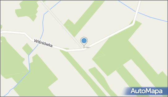 Kapliczka, Figura Świętych, Krzyż, Wiśniówka, Wiśniówka 21-450 - Kapliczka, Figura Świętych, Krzyż
