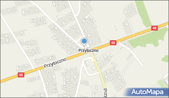 Kapliczka, Figura Świętych, Krzyż, Przytoczno 171, Przytoczno 21-146 - Kapliczka, Figura Świętych, Krzyż