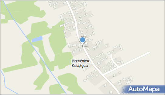 Kapliczka, Figura Świętych, Krzyż, Brzeźnica Książęca 79 21-104 - Kapliczka, Figura Świętych, Krzyż