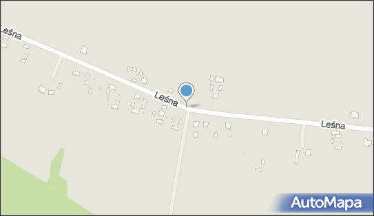 Kapliczka, Figura Świętych, Krzyż, Leśna 72, Rejowiec Fabryczny 22-170 - Kapliczka, Figura Świętych, Krzyż