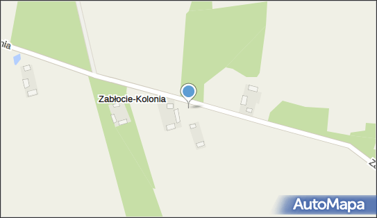 Kapliczka, Figura Świętych, Krzyż, Zabłocie-Kolonia 24 21-509 - Kapliczka, Figura Świętych, Krzyż