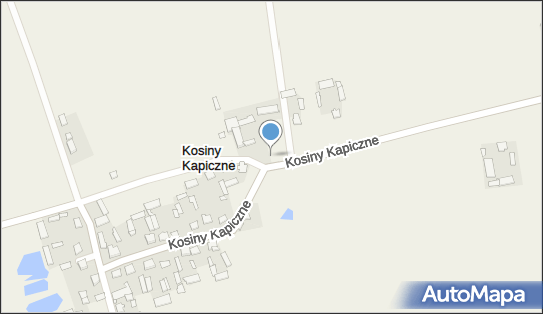 Kapliczka, Figura Świętych, Krzyż, Kosiny Kapiczne 9 06-521 - Kapliczka, Figura Świętych, Krzyż