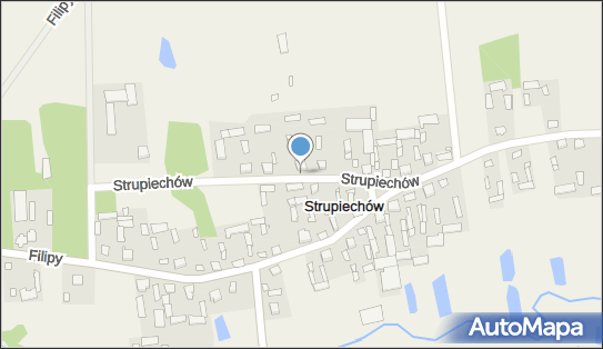 Kapliczka, Figura Świętych, Krzyż, Strupiechów 3, Strupiechów 07-111 - Kapliczka, Figura Świętych, Krzyż