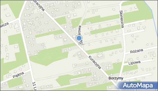 Kapliczka, Figura Świętych, Krzyż, Kuracyjna 34, Borzymy 05-281 - Kapliczka, Figura Świętych, Krzyż