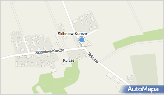 Kapliczka, Figura Świętych, Krzyż, Skibniew-Kurcze 1a 08-300 - Kapliczka, Figura Świętych, Krzyż