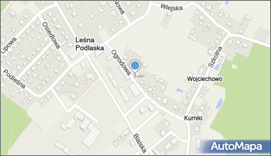 Kapliczka, Figura Świętych, Krzyż, Ogrodowa 14, Leśna Podlaska 21-542 - Kapliczka, Figura Świętych, Krzyż
