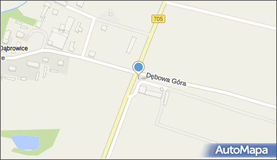 Kapliczka, Figura Świętych, Krzyż, DW 705, Dąbrowice - Kapliczka, Figura Świętych, Krzyż