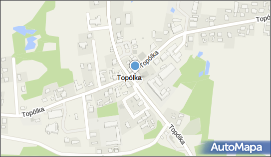 Kapliczka, Figura Świętych, Krzyż, Topólka, Topólka 87-875 - Kapliczka, Figura Świętych, Krzyż