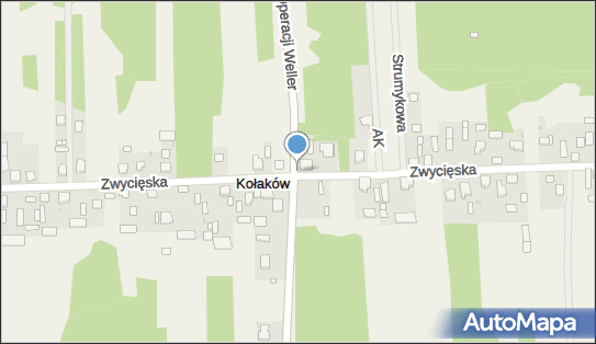 Kapliczka, Figura Świętych, Krzyż, Kołaków 35, Kołaków 05-254 - Kapliczka, Figura Świętych, Krzyż