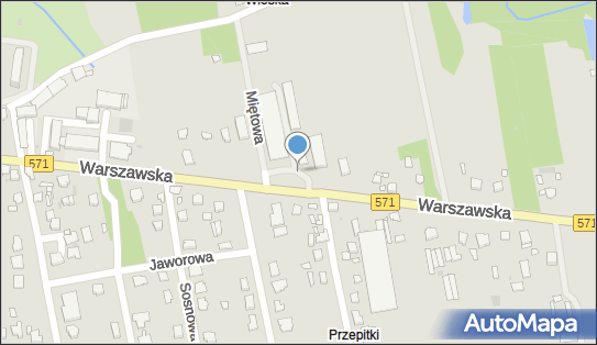 Kapliczka, Figura Świętych, Krzyż, Warszawska571, Nasielsk 05-190 - Kapliczka, Figura Świętych, Krzyż