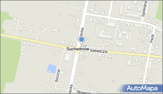 Kapliczka, Figura Świętych, Krzyż, Kielecka 15, Suchedniów 26-130 - Kapliczka, Figura Świętych, Krzyż