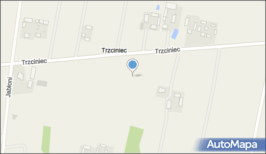 Kapliczka, Figura Świętych, Krzyż, Trzciniec, Trzciniec 05-085 - Kapliczka, Figura Świętych, Krzyż
