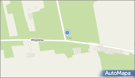 Kapliczka, Figura Świętych, Krzyż, Wspólna, Choszczowe 07-230 - Kapliczka, Figura Świętych, Krzyż