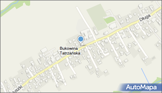 Kapliczka, Figura Świętych, Krzyż, Bukowina Tatrzańska 34-530 - Kapliczka, Figura Świętych, Krzyż