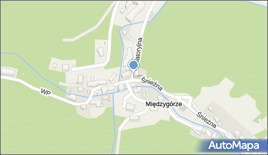 kapliczka św. Józefa, Śnieżna 30, Międzygórze 57-514 - Kapliczka, Figura Świętych, Krzyż