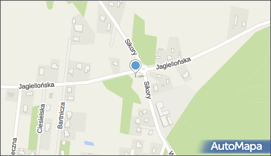 Krzyż choleryczny XIX w., Jagiellońska 8, Liszyno 09-408 - Kapliczka, Figura Świętych, Krzyż