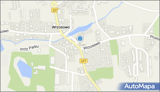 Krzyż, DW 107, Wrzosowo - Kapliczka, Figura Świętych, Krzyż
