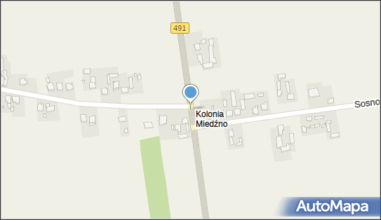 Krzyż, Częstochowska, Miedźno 42-120 - Kapliczka, Figura Świętych, Krzyż