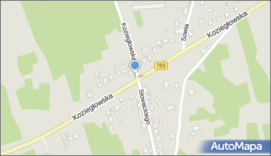 Krzyż, Koziegłowska789, Myszków 42-300 - Kapliczka, Figura Świętych, Krzyż