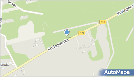 Krzyż, DW 789, Koziegłowska, Myszków - Kapliczka, Figura Świętych, Krzyż