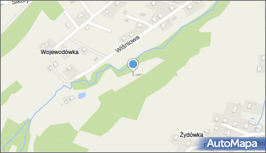 Matka Boska na drzewie, Wiśniowa, Sułkowice 34-125 - Kapliczka, Figura Świętych, Krzyż