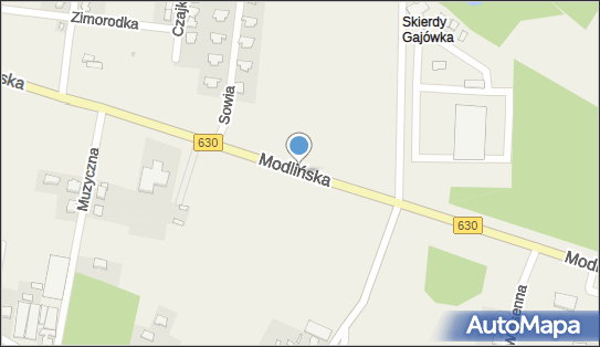 Metalowy krzyż, DW 630, Modlińska, Skierdy - Kapliczka, Figura Świętych, Krzyż