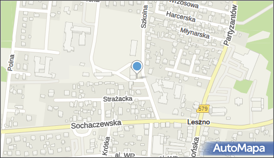 św. Florian, Szkolna 6, Leszno 05-084 - Kapliczka, Figura Świętych, Krzyż