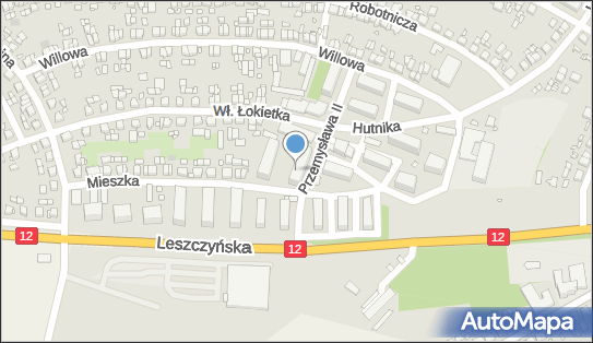 6960010319, Kiosk Wielobranżowy Krystyna Konieczna, Gostyń 