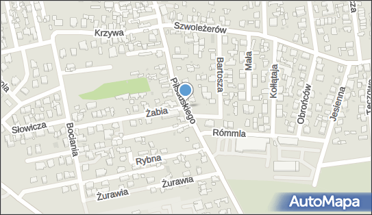 1250503837, Alina Koc Kiosk Wielobranżowy 