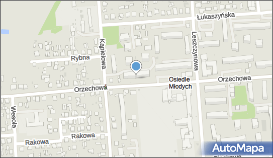 Kiosk, Orzechowa 24, Biała Podlaska 21-500 - Kiosk