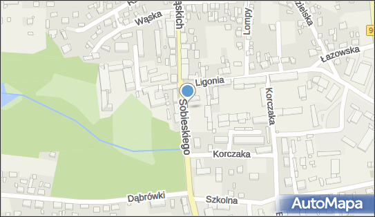 Kiosk, Króla Jana III Sobieskiego 1 SDC 727, Koszęcin - Kiosk