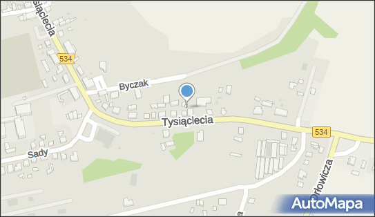 Cmentarz żydowski Kirkut, Tysiąclecia534543 41 87-220 - Kirkut - Cmentarz żydowski