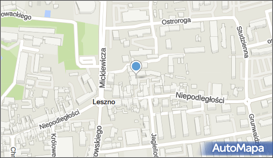 Club 007,5, Antoniny 5, Leszno 64-100 - Klub, Klub nocny