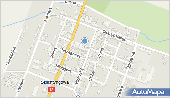 Posterunek Policji w Szlichtyngowej, Rynek 2, Szlichtyngowa 67-407 - Komenda, Komisariat, Policja, numer telefonu
