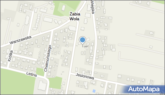 Posterunek Policji w Żabiej Woli, Główna 11a, Żabia Wola 96-321 - Komenda, Komisariat, Policja, numer telefonu
