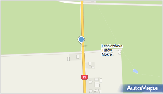 Straż Graniczna, Turów, Turów 21-302 - Kontrola Celna