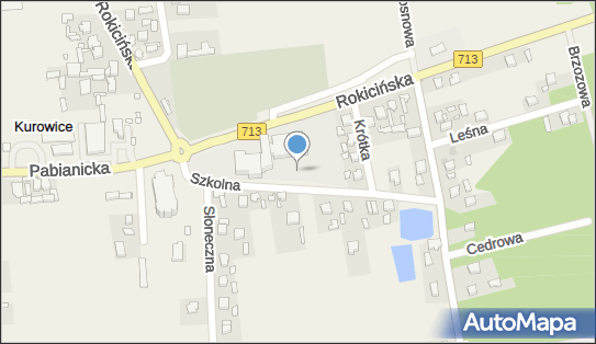 Kort tenisowy, Szkolna, Kurowice 95-006 - Kort tenisowy