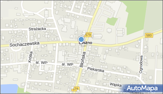 Ksero, DW 579, Błońska, Leszno - Ksero