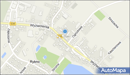Amaryllis, Wyzwolenia 72, Rybno 13-220 - Kwiaciarnia, numer telefonu