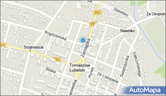 9211260613, Kwiaciarnia Storczyk Bożena Romanowicz 