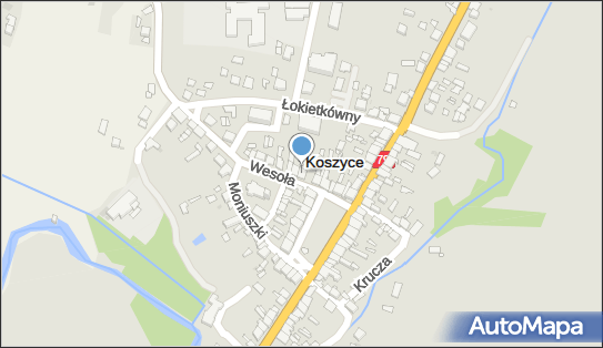 Kwiaciarnia Artykuły Przemysłowe, ul. Wesoła 2, Koszyce 32-130 - Kwiaciarnia, numer telefonu, NIP: 6620051408