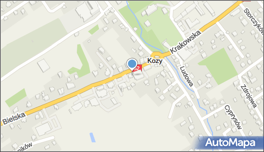 Kwiaciarnia Florentine, Bielska 11, Kozy 43-340 - Kwiaciarnia, godziny otwarcia, numer telefonu